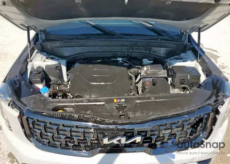 2024 Kia Telluride Sx from USA, damaged, VIN 5XYP5DGC6RG489826